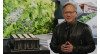  NVIDIA продолжает поставлять чипы в Китай